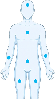Front anatomical body illustration used in the MediCheck interactive body map